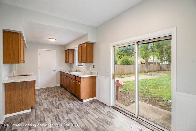 kitchen featuring plenty of natural light, sink, and light hardwood / wood-style flooring