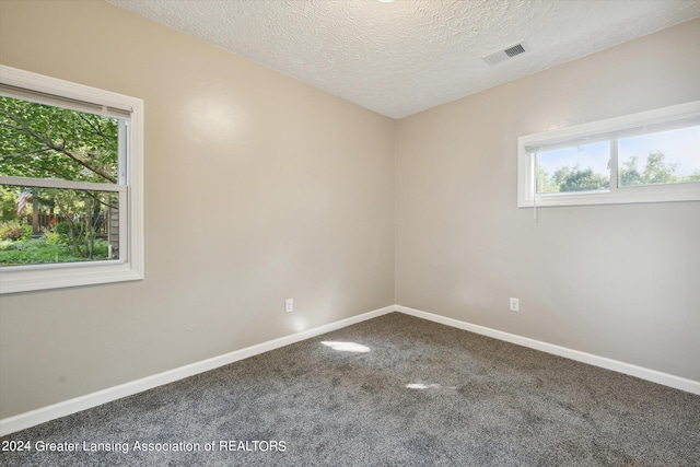 unfurnished room featuring plenty of natural light, carpet floors, and a textured ceiling