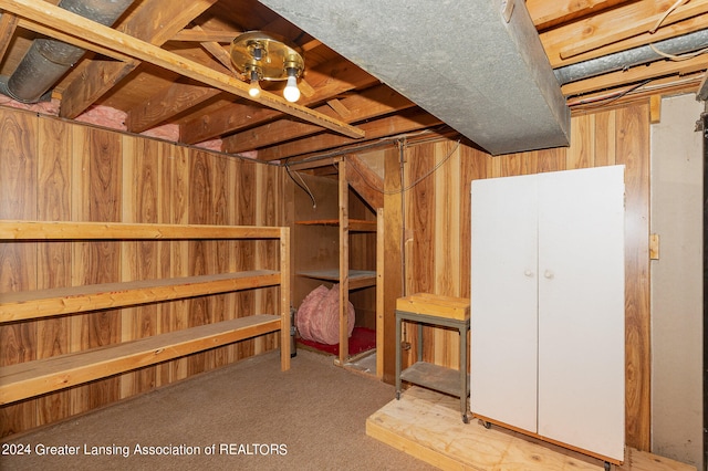 basement featuring light carpet and wooden walls