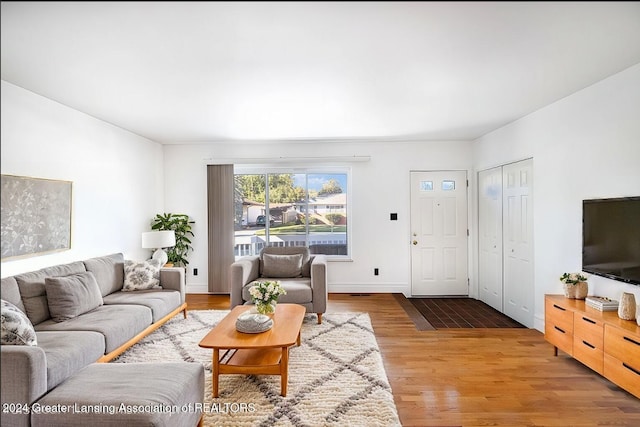 living room with wood-type flooring