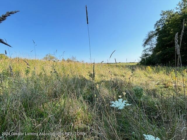 V/L Brown Rd, Vermontville MI, 49096 land for sale