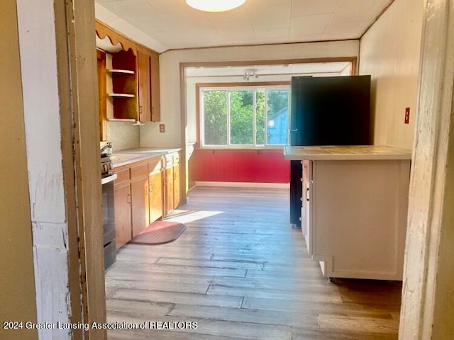 kitchen featuring light wood-type flooring