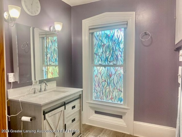 bathroom featuring a wealth of natural light, wood-type flooring, and vanity