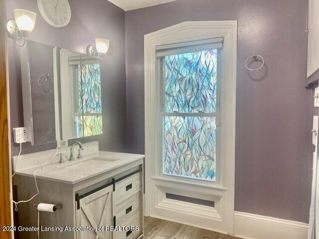 bathroom with plenty of natural light, baseboards, wood finished floors, and vanity