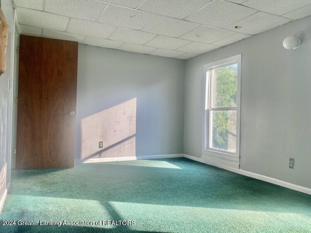 spare room with baseboards, a drop ceiling, and carpet