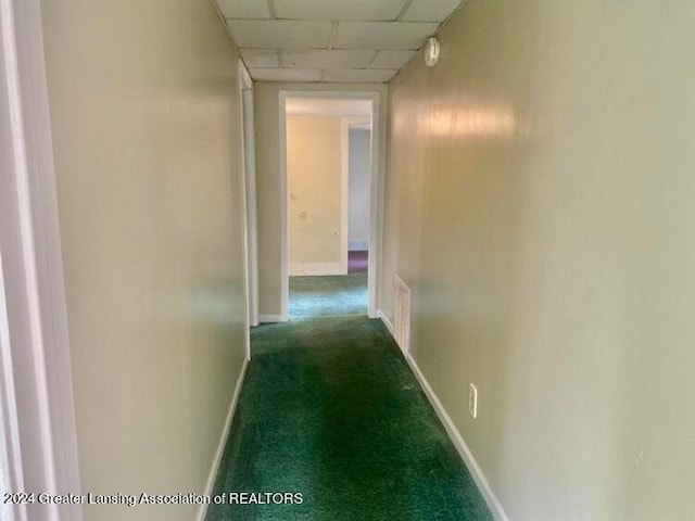 corridor with carpet floors and a paneled ceiling