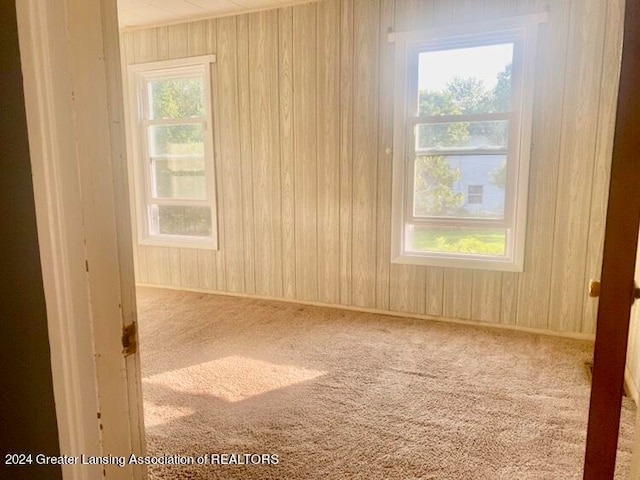 carpeted empty room featuring wooden walls and a healthy amount of sunlight