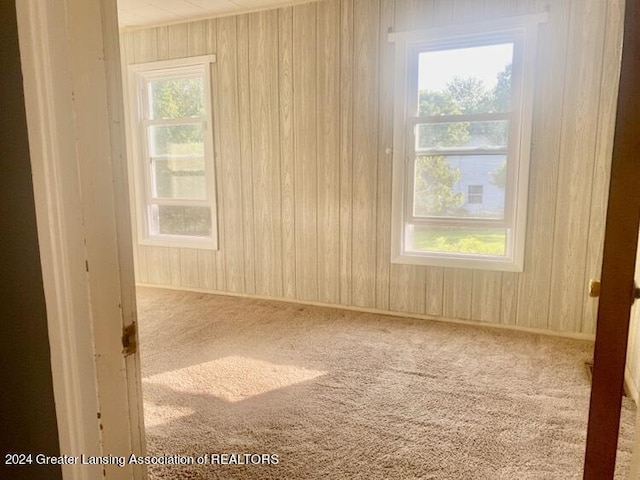carpeted empty room with wood walls
