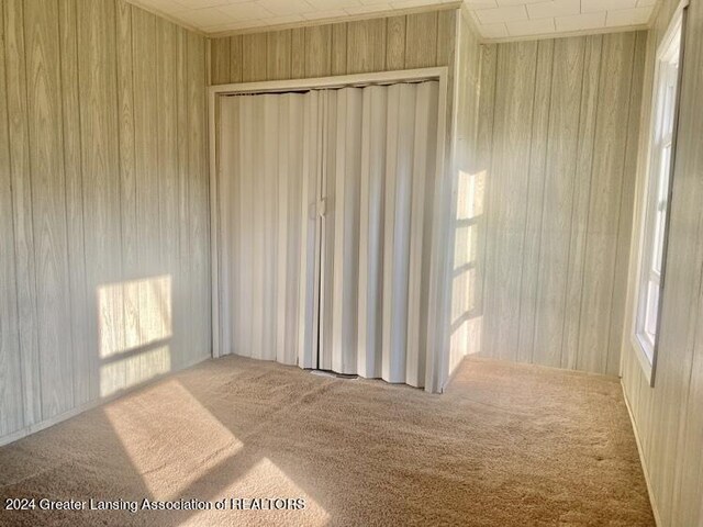 carpeted empty room featuring wooden walls