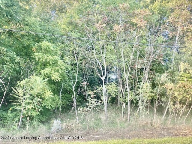 view of nature featuring a wooded view