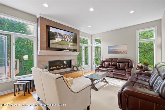 living room featuring light hardwood / wood-style floors and a fireplace