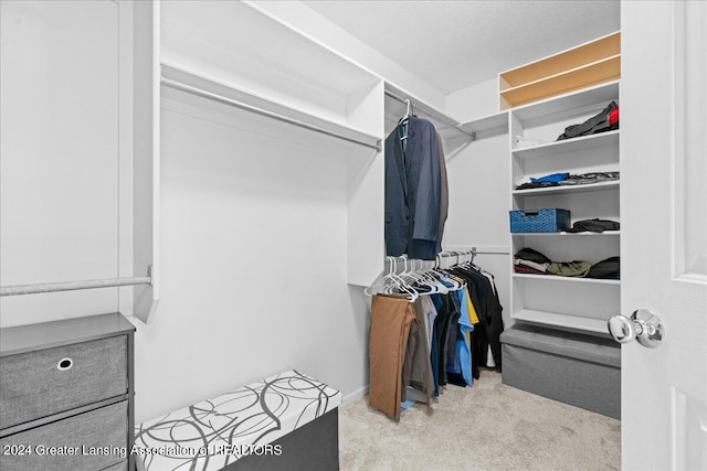 spacious closet with light colored carpet