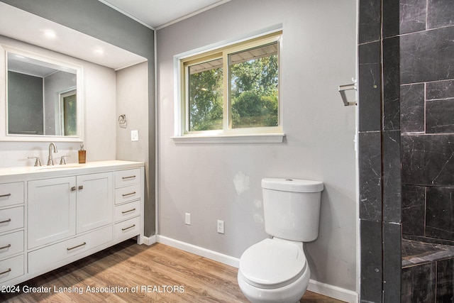 bathroom featuring vanity, toilet, and hardwood / wood-style floors