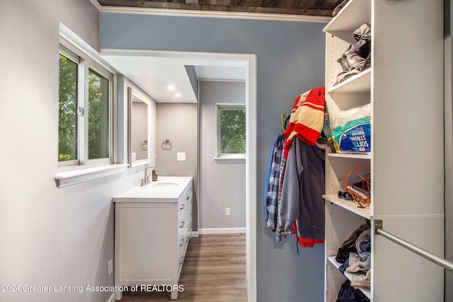 interior space with sink and hardwood / wood-style flooring