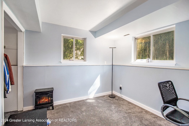 unfurnished room featuring a wood stove and carpet