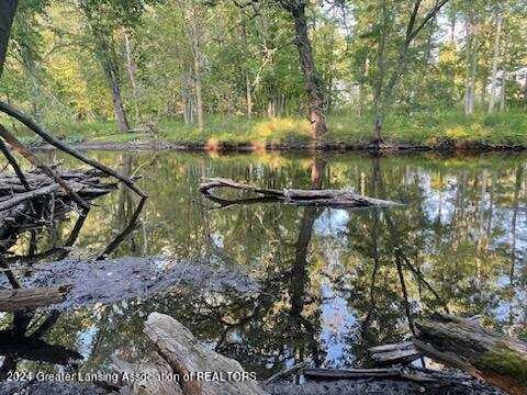 view of local wilderness featuring a water view