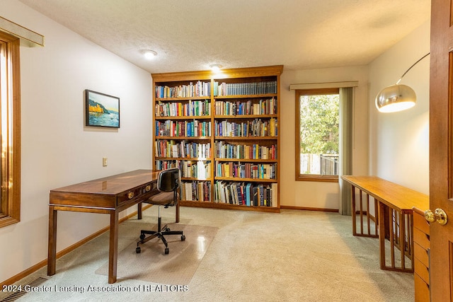 carpeted office space with a textured ceiling