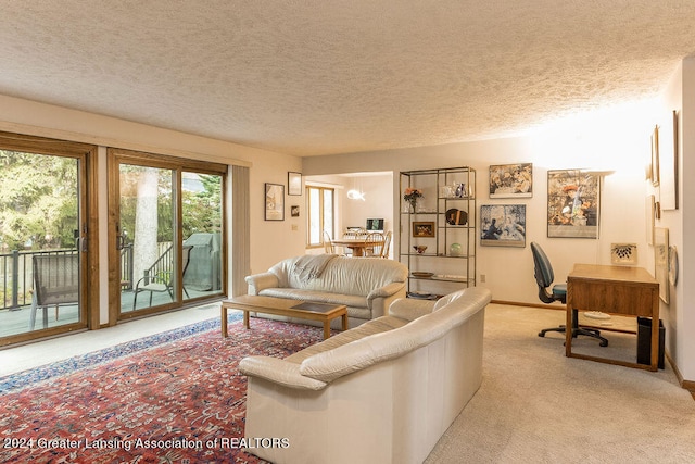 carpeted living room with a textured ceiling