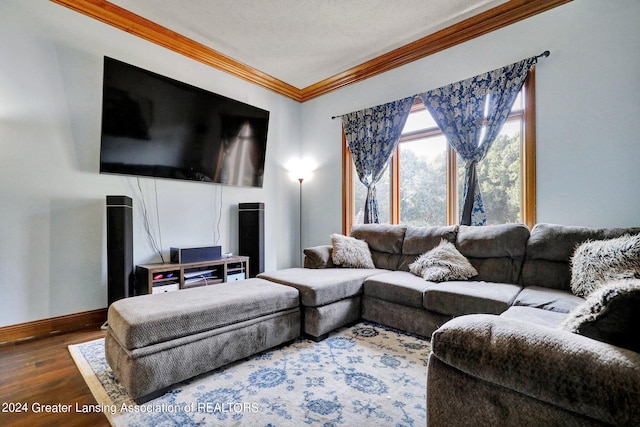 living room featuring wood-type flooring, a textured ceiling, and crown molding