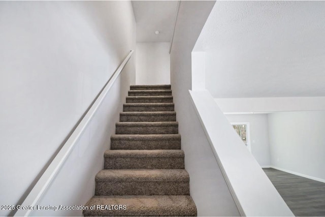 stairway with hardwood / wood-style floors