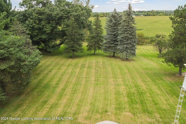 view of yard with a rural view