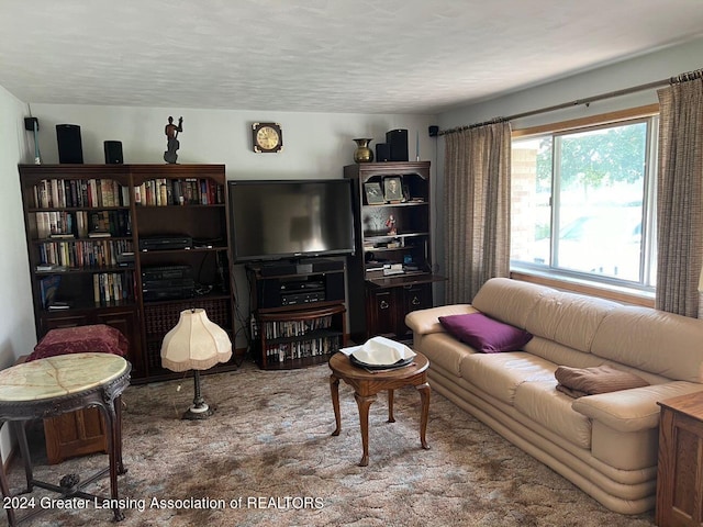 carpeted living room featuring a textured ceiling