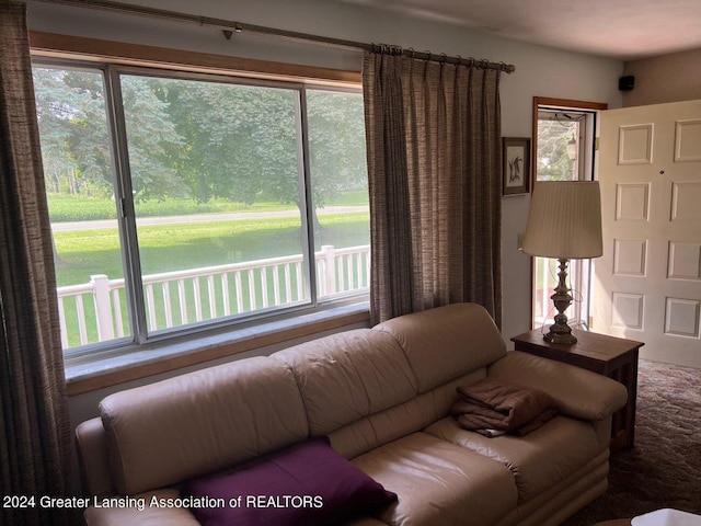 living room with a water view and a healthy amount of sunlight