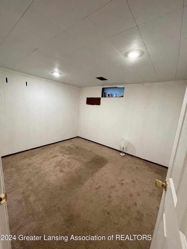 basement with carpet