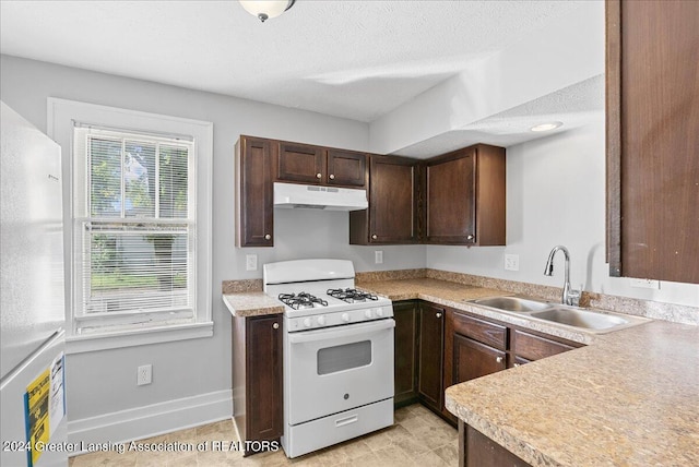 kitchen featuring dark brown cabinetry, a textured ceiling, sink, and white appliances