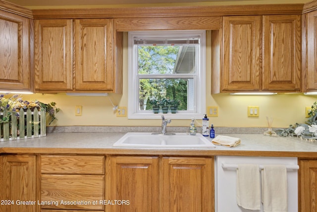 kitchen with dishwashing machine and sink