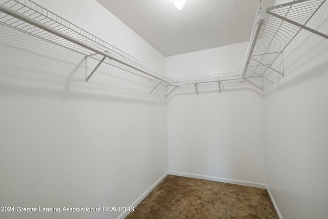 spacious closet with carpet floors