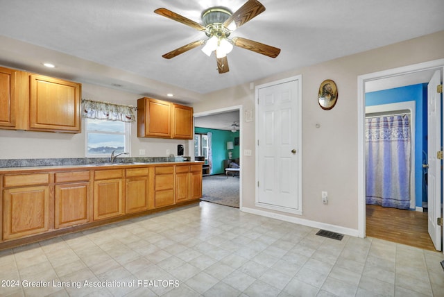 kitchen with sink and ceiling fan