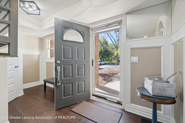 entrance foyer with dark hardwood / wood-style floors and plenty of natural light