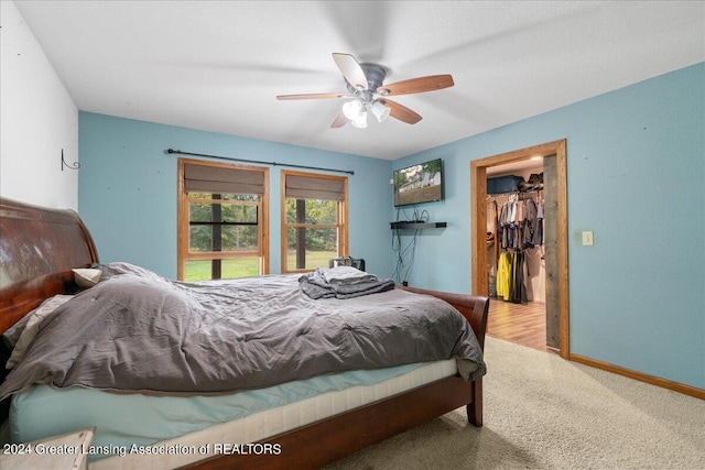 carpeted bedroom with ceiling fan, a walk in closet, and a closet