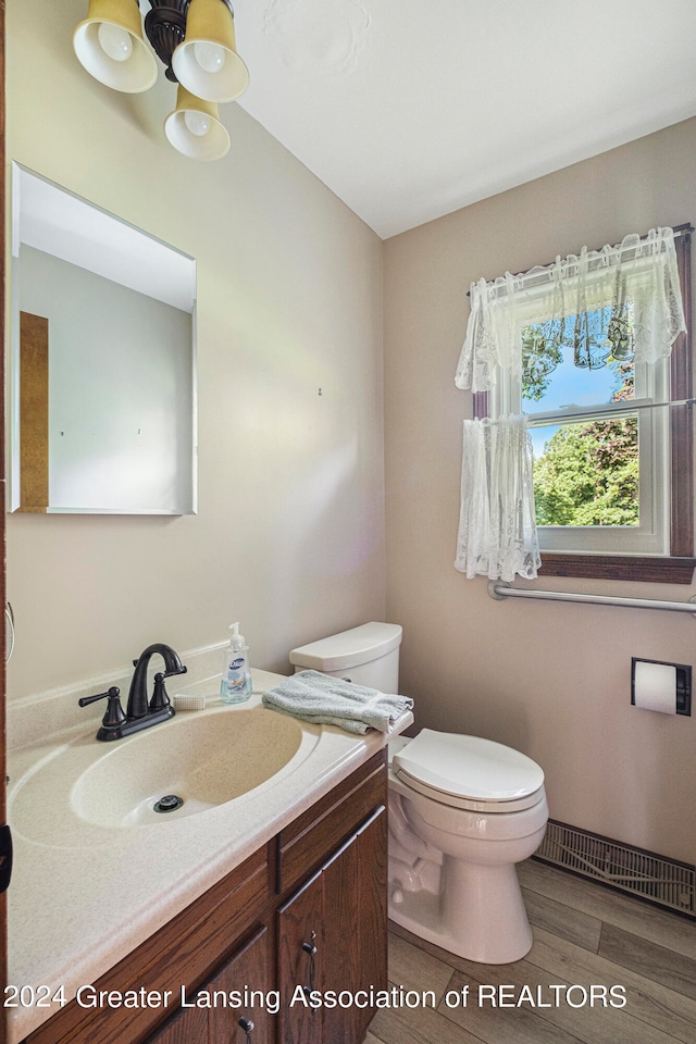 bathroom featuring vanity, toilet, and hardwood / wood-style flooring