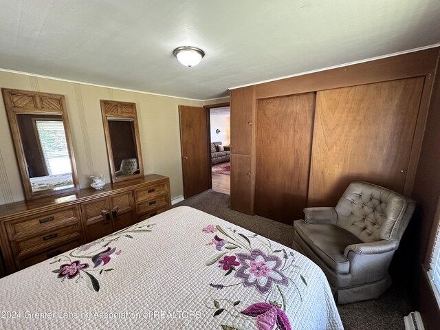 carpeted bedroom with crown molding and a closet