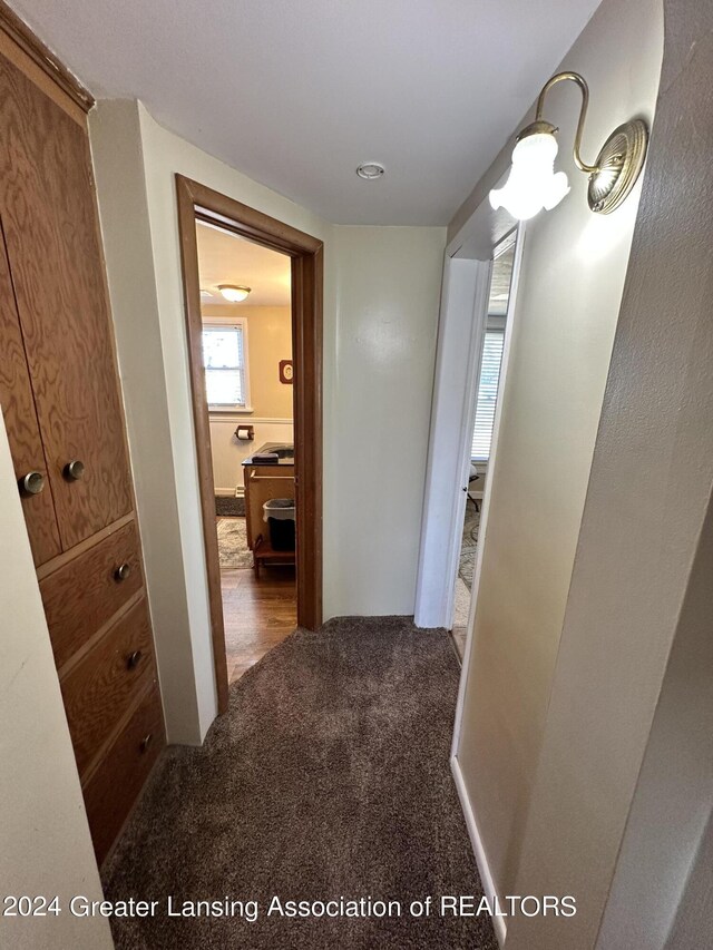 hallway with carpet