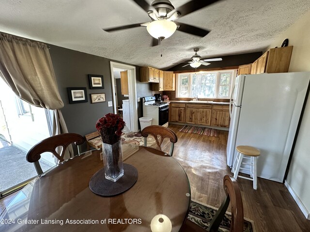 dining area with a textured ceiling, dark hardwood / wood-style flooring, and ceiling fan