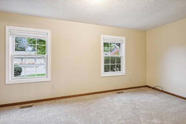 empty room featuring carpet, a textured ceiling, and a healthy amount of sunlight