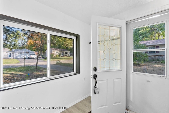 entryway featuring a textured ceiling, light hardwood / wood-style flooring, and plenty of natural light