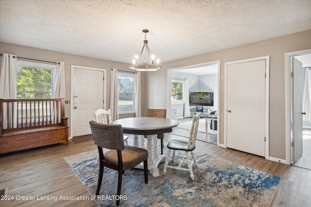 dining space featuring hardwood / wood-style flooring, a textured ceiling, and a wealth of natural light