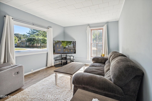 living room featuring light wood-type flooring and a wealth of natural light