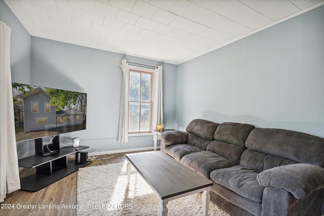 living room featuring hardwood / wood-style flooring