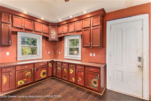 kitchen with dark wood-type flooring and a wealth of natural light