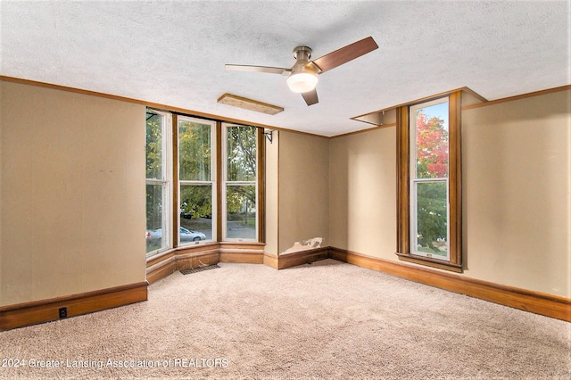 spare room featuring carpet flooring and a textured ceiling