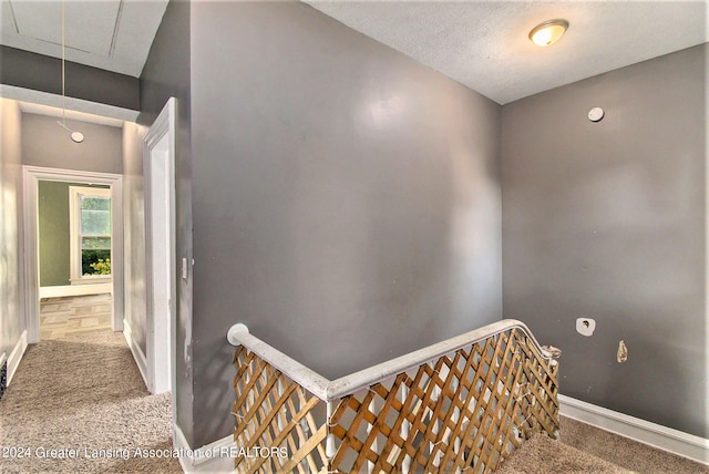 stairway with a textured ceiling and carpet flooring