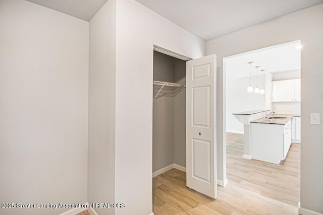 closet featuring sink