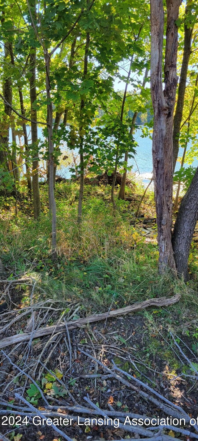 840 River Rd, Marshall, MI 49068 - photo 6
