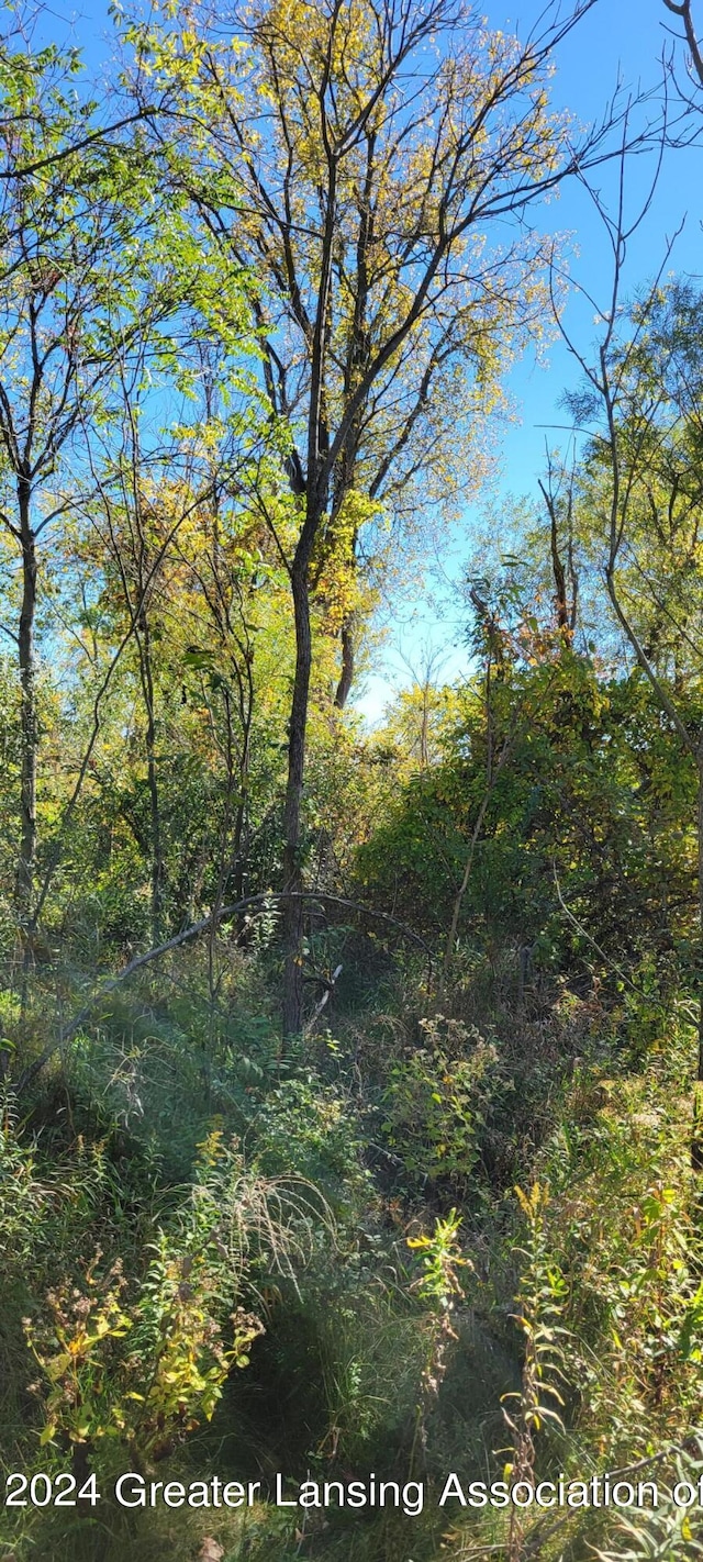 840 River Rd, Marshall, MI 49068 - photo 7