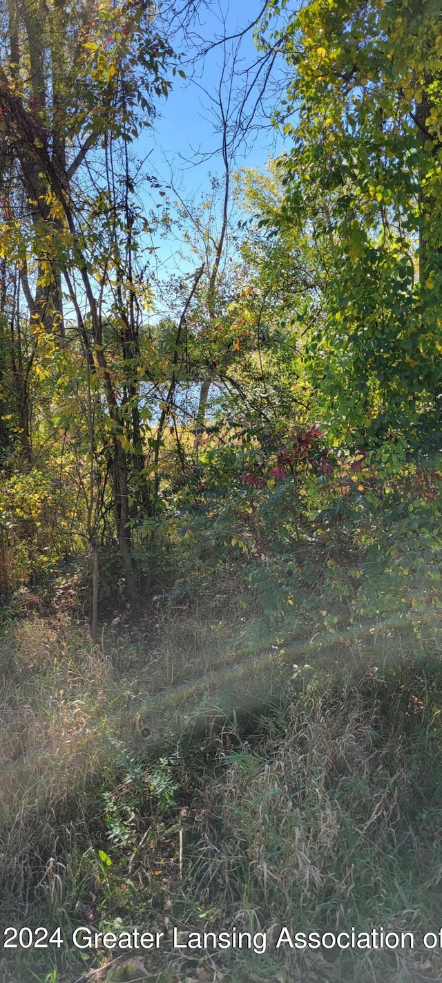 840 River Rd, Marshall, MI 49068 - photo 12
